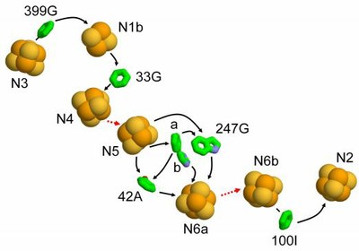 complex1b