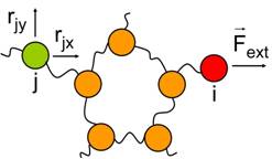 Protein dynamics